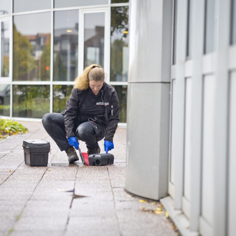 Kosten van rattenbestrijding