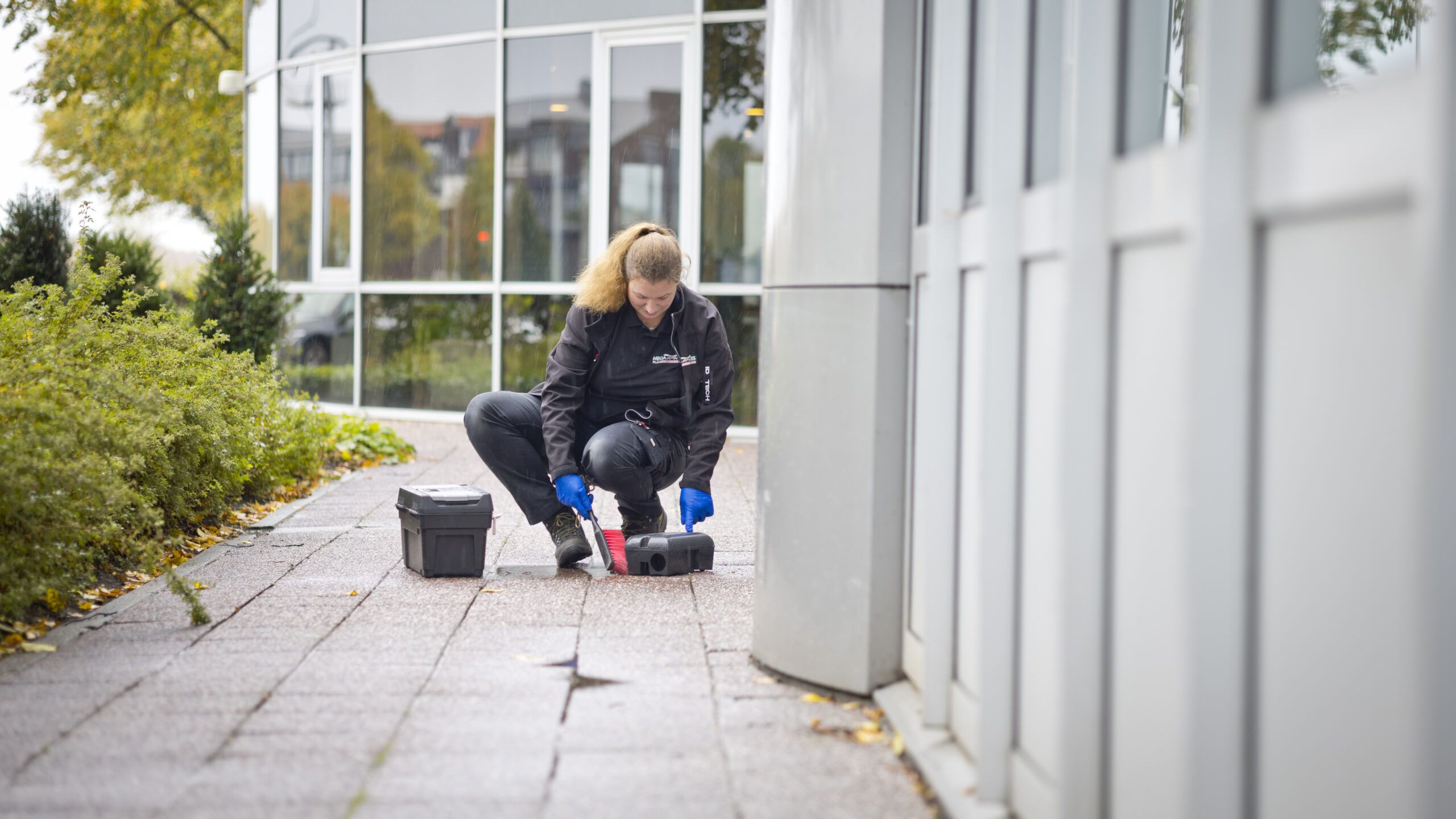 Kosten van rattenbestrijding