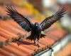Kauw vliegt weg van dak met vogelwering, vleugels gespreid boven terracotta dakpannen in natuurlijk daglicht