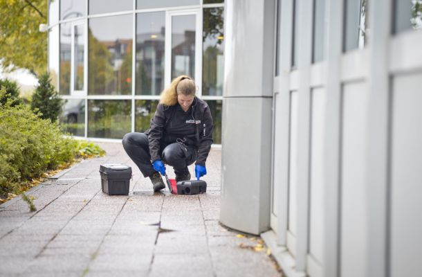 Kosten van rattenbestrijding