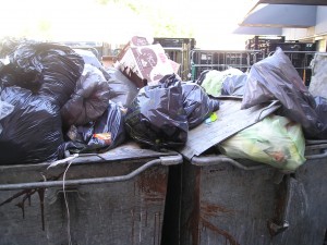 afvalcontainers die ongedierte aantrekken