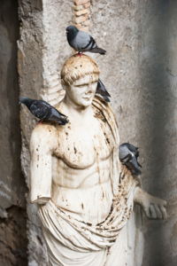 vogeloverlast door duiven op kerkbeeld