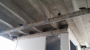 duivenoverlast in een garage door het achterlaten van vogelpoep