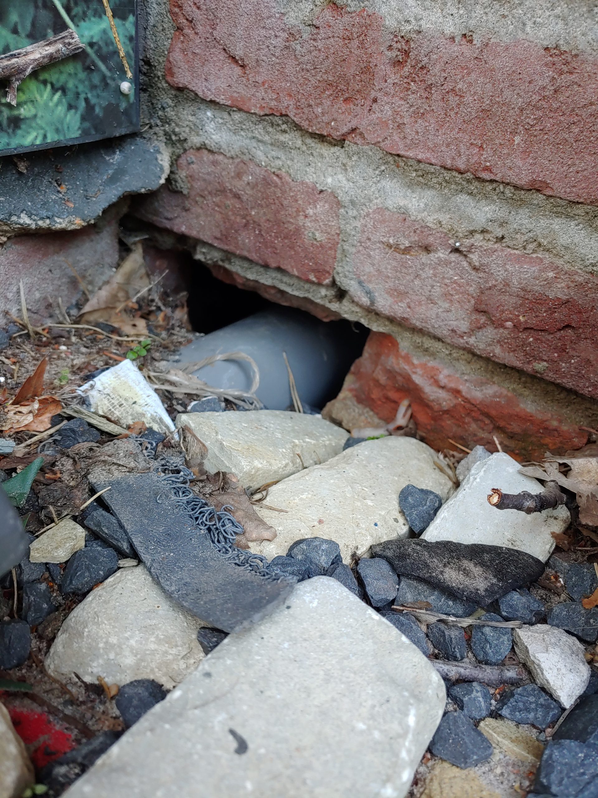 Een ingang voor ratten in uw huis