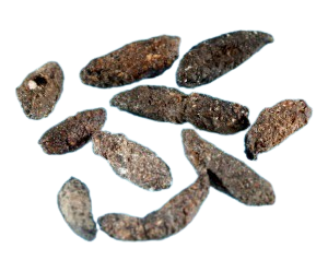 Voorbeeld van rattenkeutels